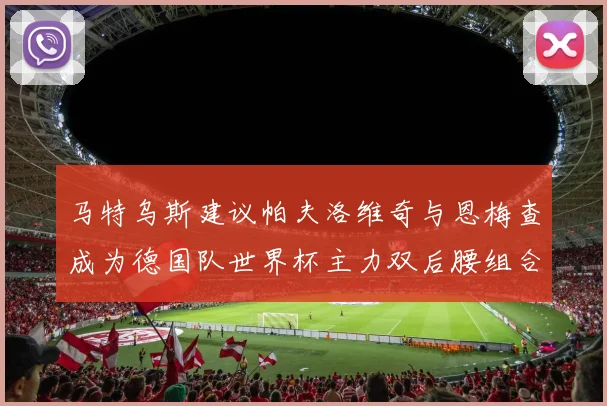 马特乌斯建议帕夫洛维奇与恩梅查成为德国队世界杯主力双后腰组合