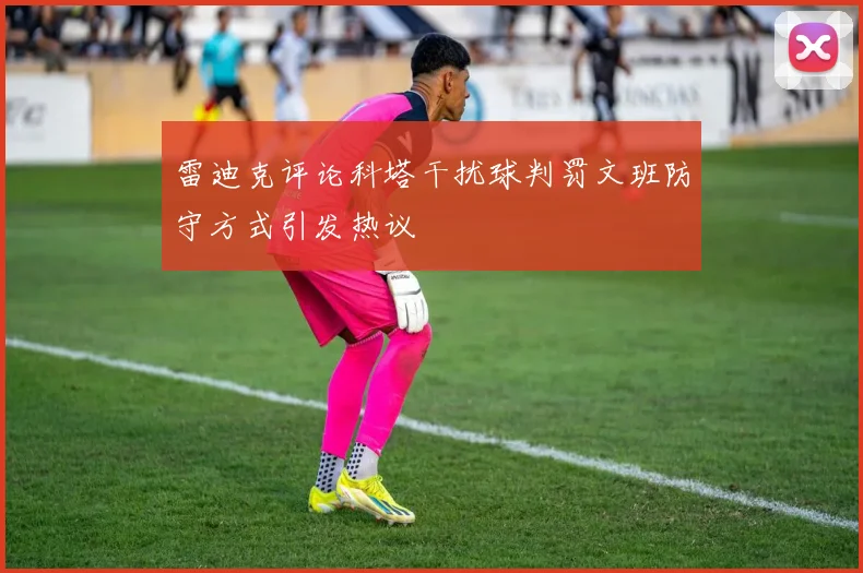 雷迪克评论科塔干扰球判罚文班防守方式引发热议