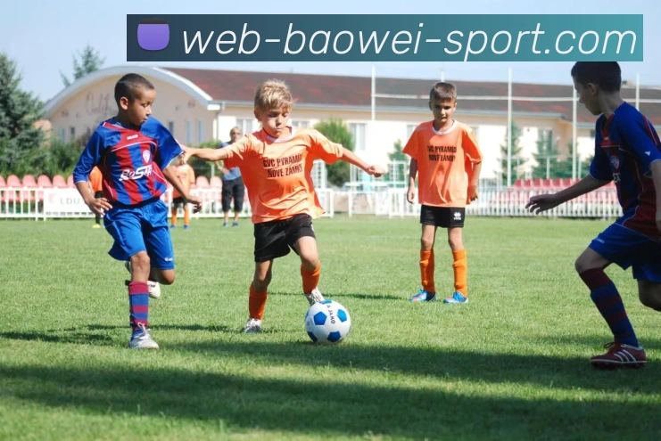 App Interface Preview